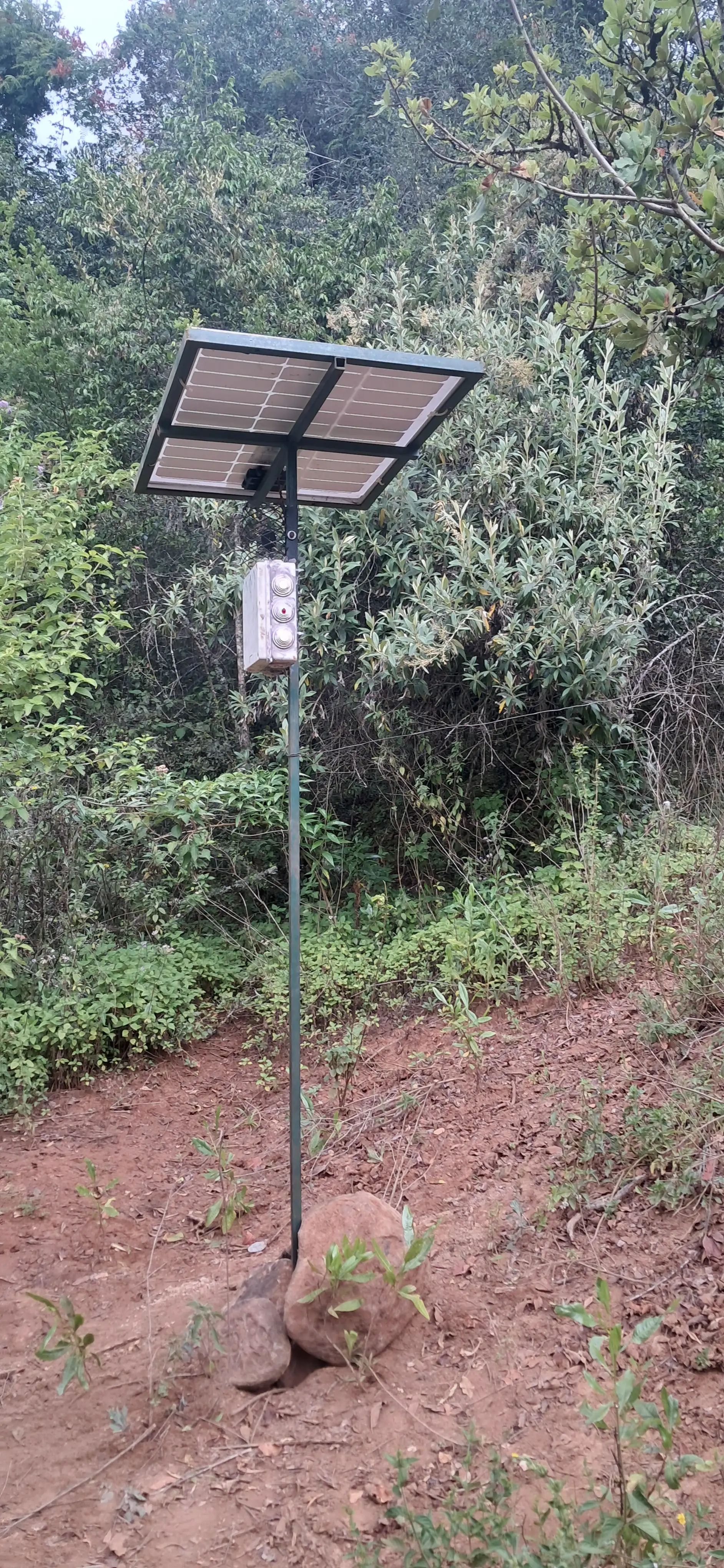 Bioacoustics ARU Deployment
